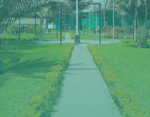 Yanacoto (Ruta Circular)