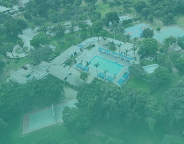 Girasoles de Huampaní